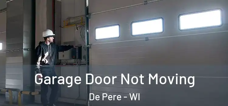  Garage Door Not Moving De Pere - WI