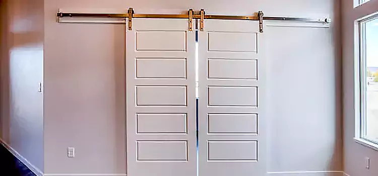 Glass Barn Door with Installation Hardware Kit De Pere