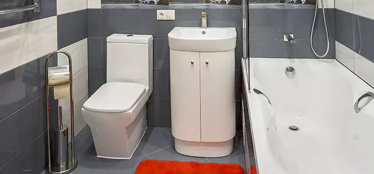 Hansgrohe Shaving Mirror De Pere