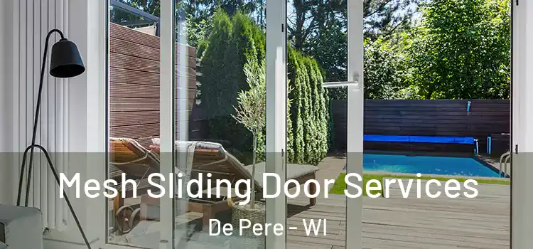  Mesh Sliding Door Services De Pere - WI